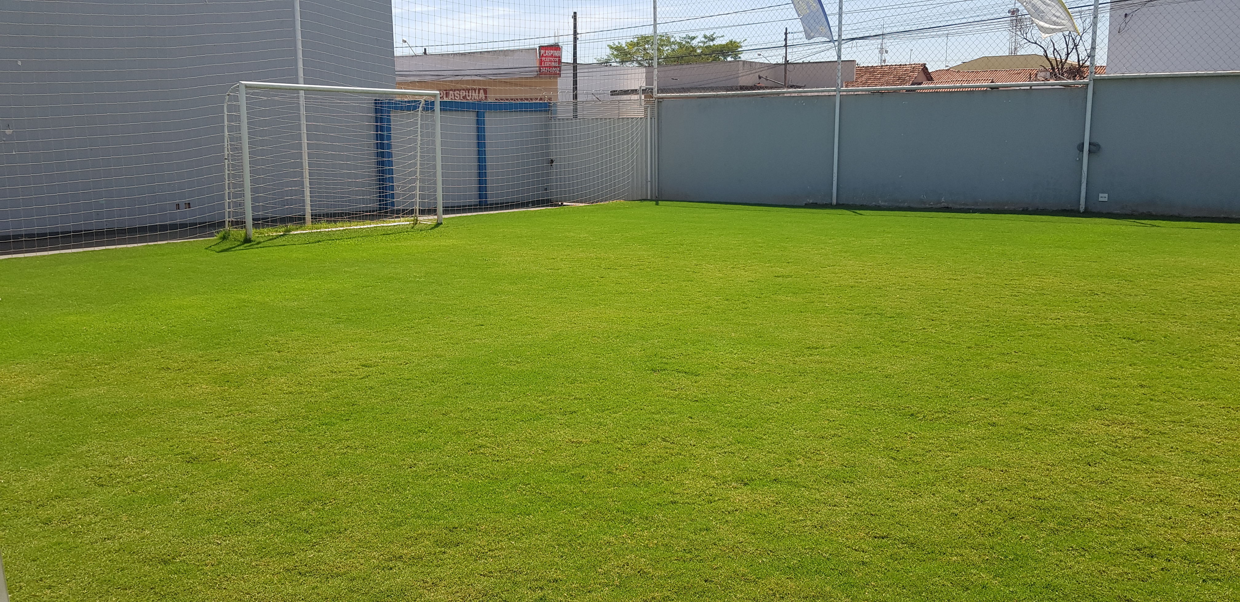 Campo